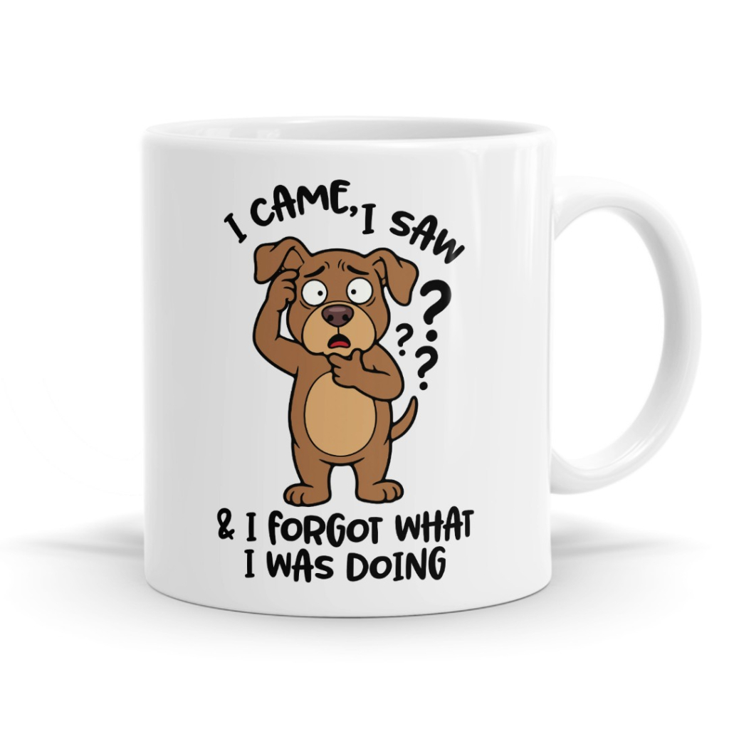 I Came I Saw I Forgot What I Was Doing Mug