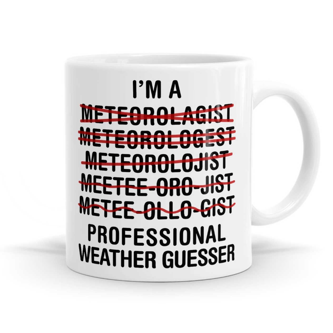 Professional Weather Guesser Meteorologist Funny Mug Image