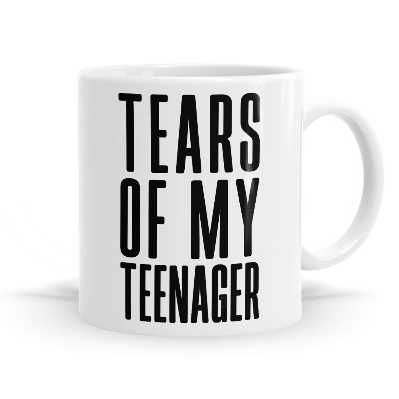 Tears of My Teenager Mug image