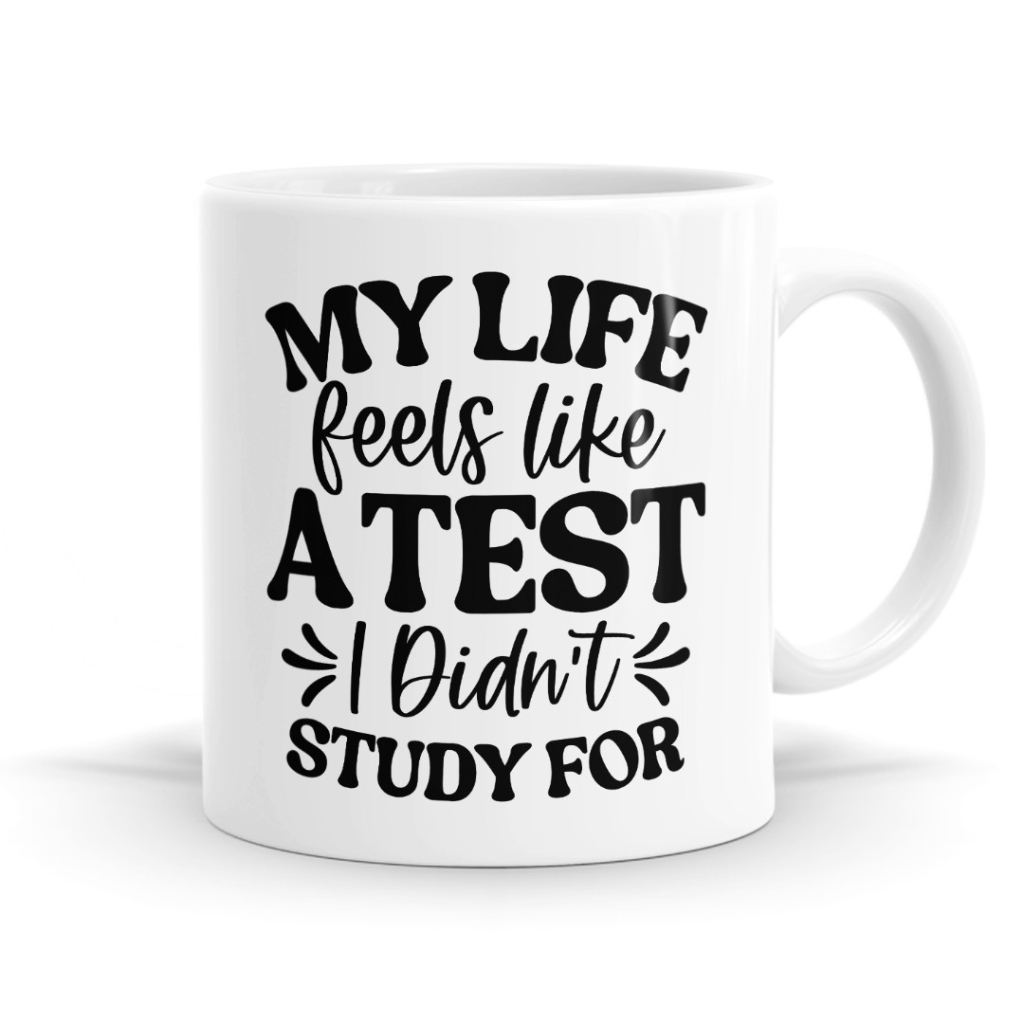 My Life Feels Like a Test I Did Not Study For Mug
